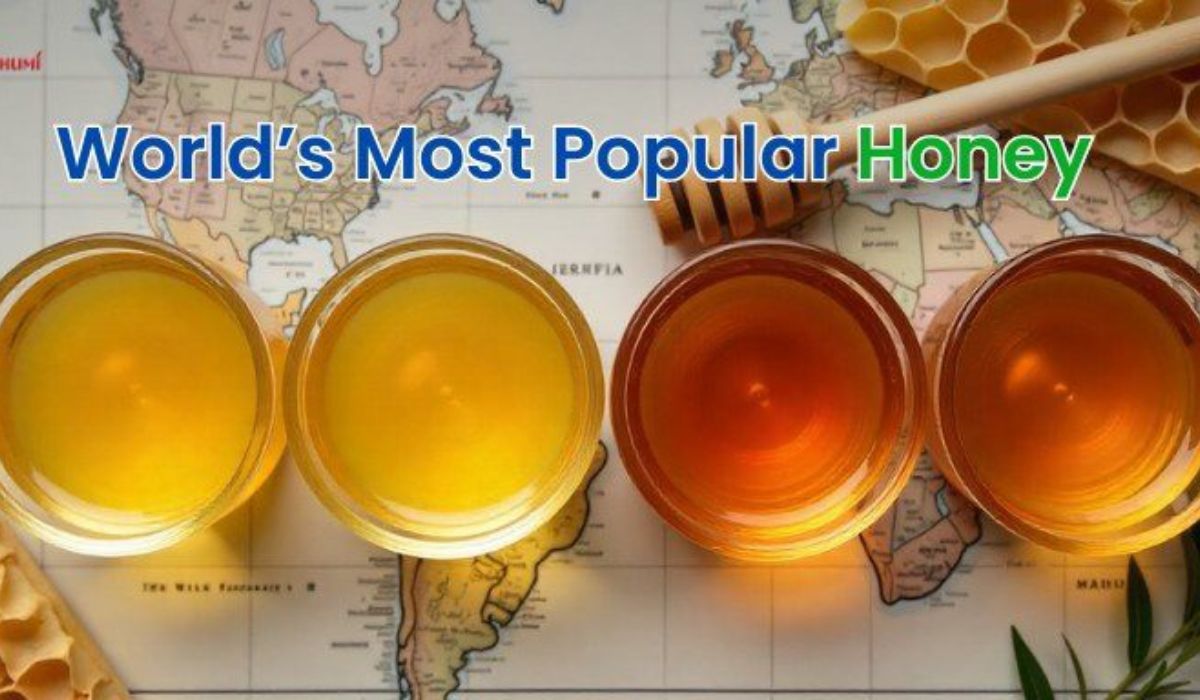 Countries Famous for Some of the World’s Best Honey